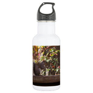 Botella De Agua Tiempo de Chow de ardilla