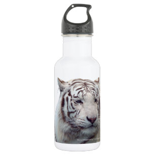 Botella De Agua Tigres desaparecidos