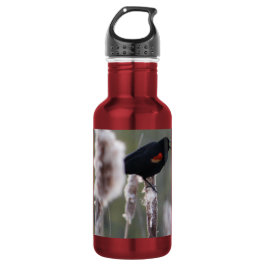 Botella De Agua Tordo sargento (Agelaius phoeniceus)