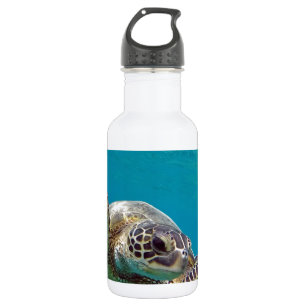 Botella De Agua Tortuga de mar verde de Hawaii - Honu