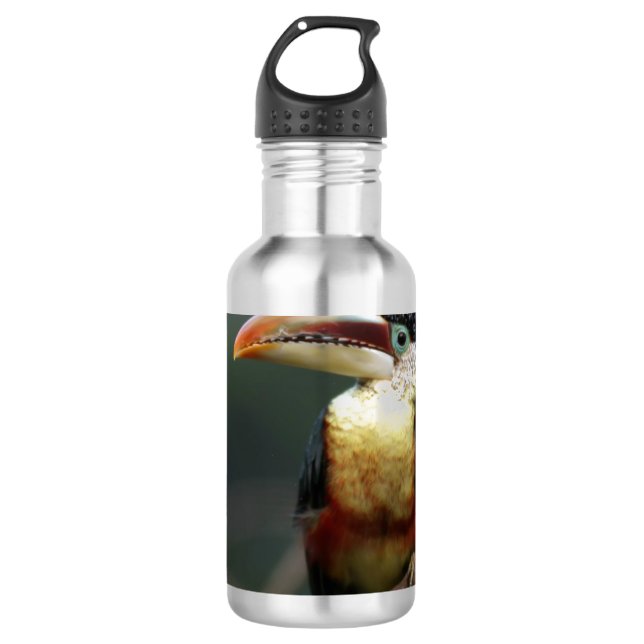 Botella De Agua Toscana En El Zoológico (Anverso)