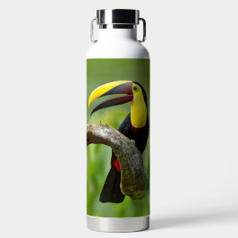 Botella De Agua Toucan sentado en la rama del bosque