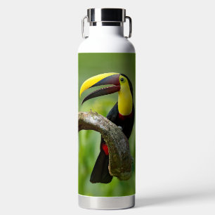 Botella De Agua Toucan sentado en la rama del bosque