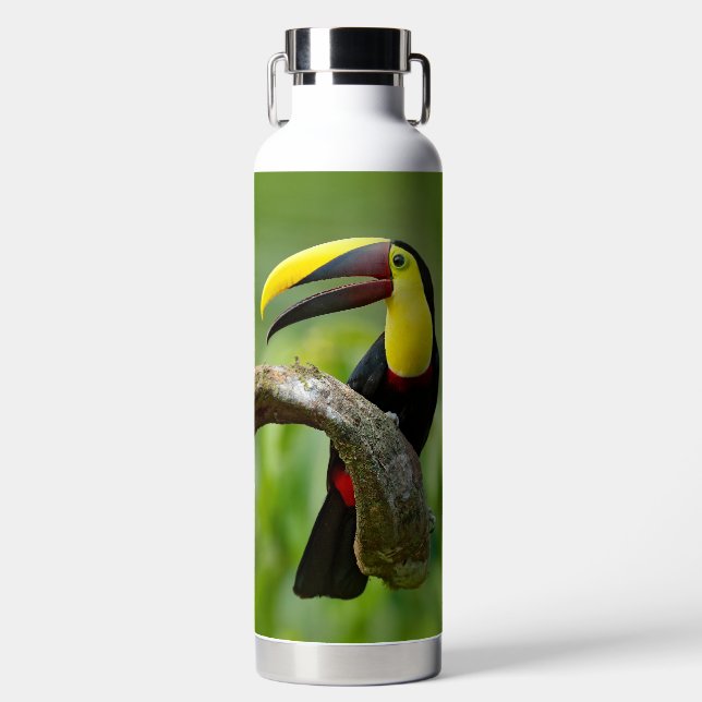 Botella De Agua Toucan sentado en la rama del bosque (Delantero)