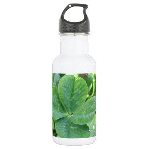 Botella De Agua Trébol de Cuatro Hojas