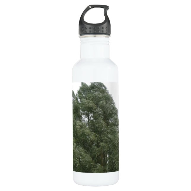 Botella De Agua Treetops (Anverso)