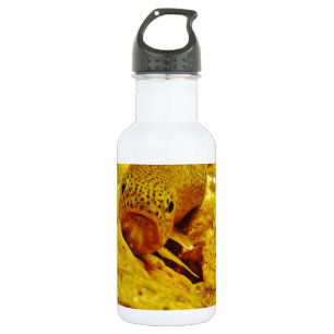 Botella De Agua Truco en la corriente