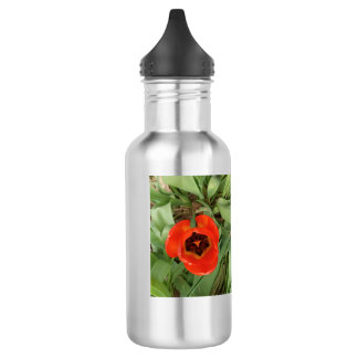 Botella de agua Tulipán Rojo