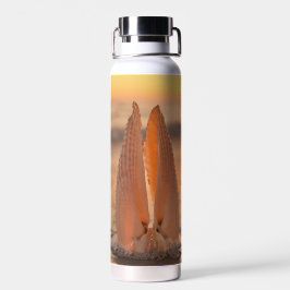 Botella De Agua Tumbler Térmico de Conchas de Ala de Ángel