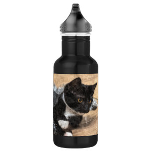 Botella De Agua Tuxedo Kitten Tinsel y Luces Estanques Painteros