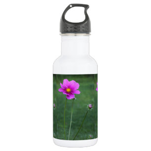 Botella De Agua Un aster mexicano