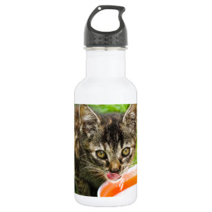 Botella De Agua Un gatito lindo bebiendo de un tazón