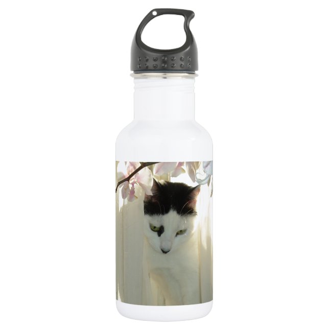 Botella De Agua Un gato blanco y negro hermoso (Anverso)