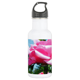 Botella De Agua Una rosa rosa grandiosa en el cielo azul. Fotograf