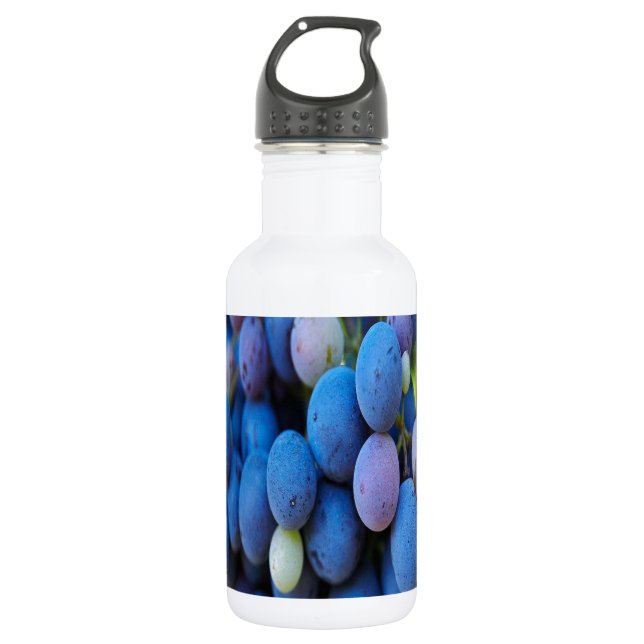 Botella De Agua Uvas (Anverso)
