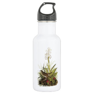 Botella De Agua Veery de Audubon