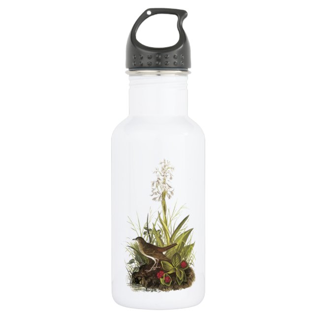 Botella De Agua Veery de Audubon (Anverso)