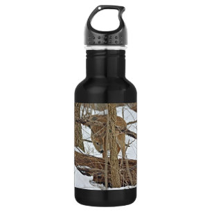Botella De Agua Venado de cola blanca en la nieve
