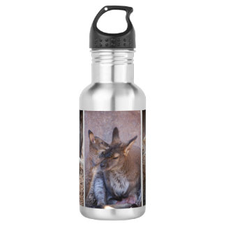 Botella de agua Wallaby