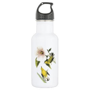 Botella De Agua Warbler de ala azul de Audubon