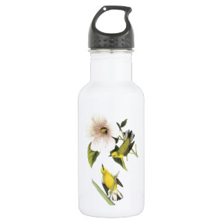 Botella De Agua Warbler de ala azul de Audubon