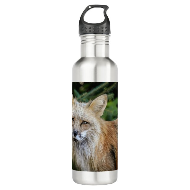 Botella De Agua Wild Fox (Anverso)