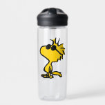 Botella De Agua Woodstock en gafas de sol<br><div class="desc">Echa un vistazo a este diseño super lindo con lentes de sol geniales de Woodstock.</div>