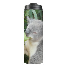 Botella de bebida de koala comiendo hoja de eucali