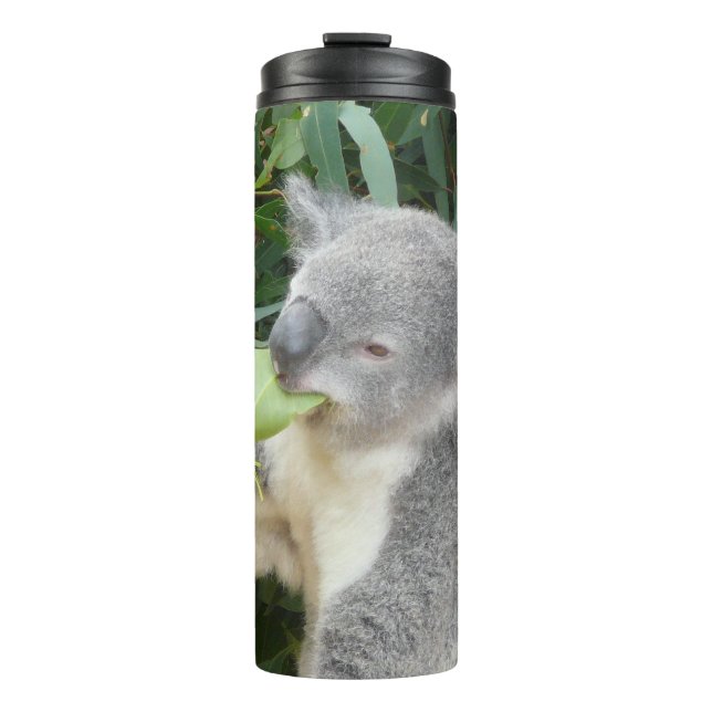 Botella de bebida de koala comiendo hoja de eucali (Anverso)