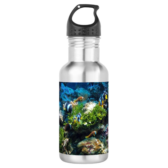 Botellas de agua de Coral Reef (Anverso)