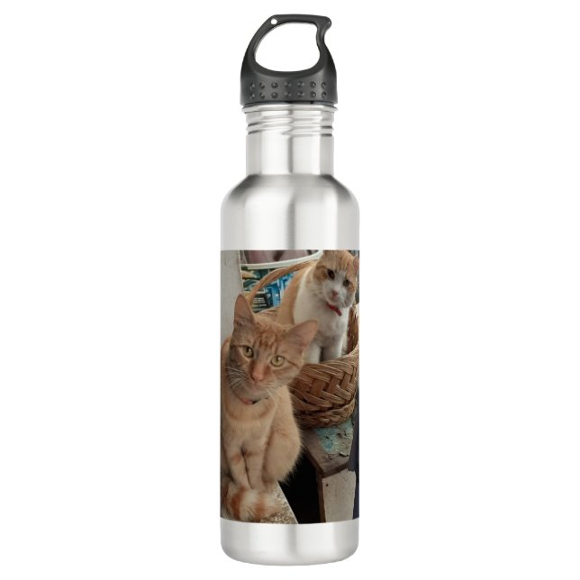botellas de agua de ginger cat (Anverso)
