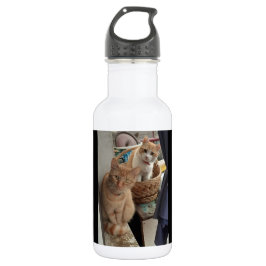 botellas de agua de ginger cat