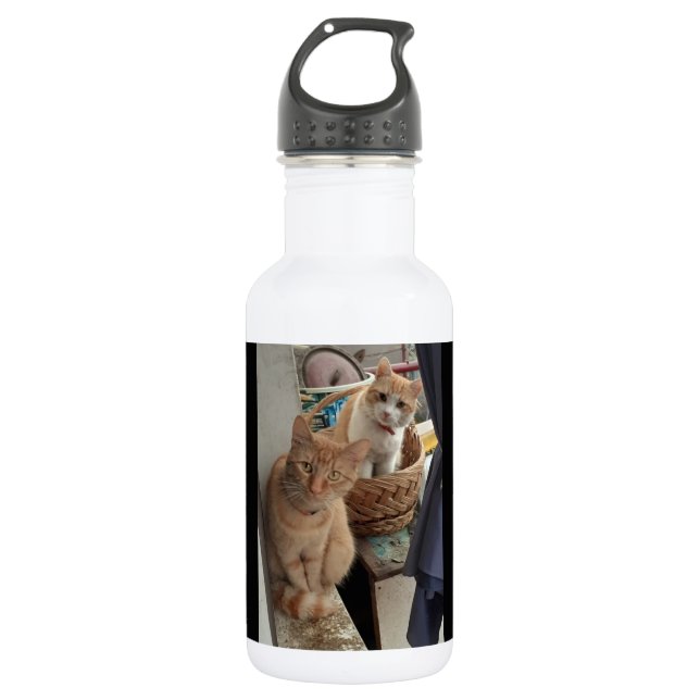 botellas de agua de ginger cat (Anverso)