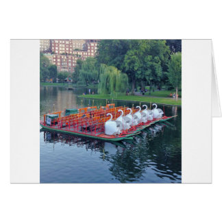 Botes de cisne de Boston