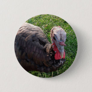 Botón 1 de los acres de Wedrose