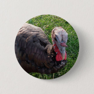 Botón 1 de los acres de Wedrose