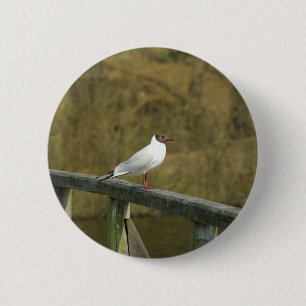 Botón A tern