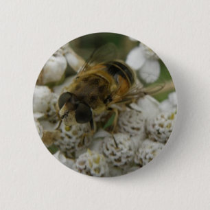 Botón abeja de miel y flores