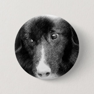 Botón animal del arte del border collie negro