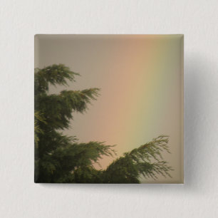 Botón Arcoiris y Árboles