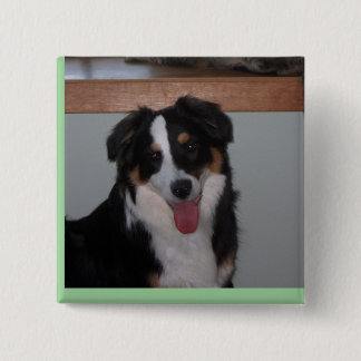 Botón australiano feliz