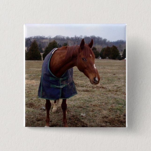 Botón azul azul del cuadrado del mar (Anverso)