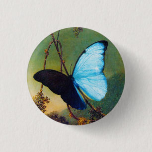 Botón azul de la mariposa de Morpho