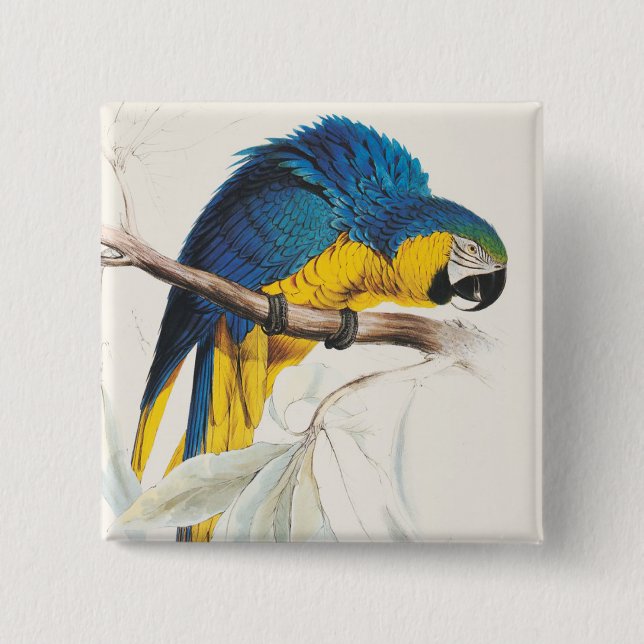 Botón azul y amarillo de Maccaw (Anverso)