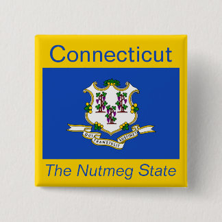 botón Bandera de Connecticut