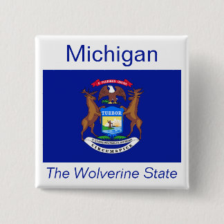 botón Bandera de Michigan