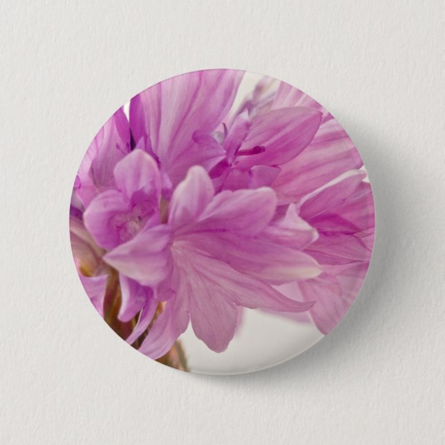 botón Batchelor (Anverso)