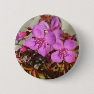 botón Begonia
