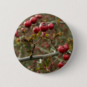 botón Berries