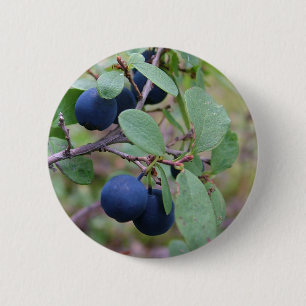 botón Berries silvestres